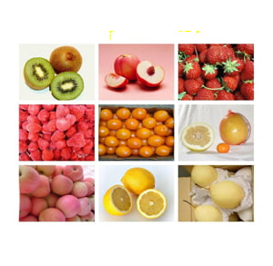 Fruits_Vegetables2